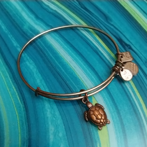 Alex and Ani Sea Turtle Charm Bracelet - Picture 3 of 13